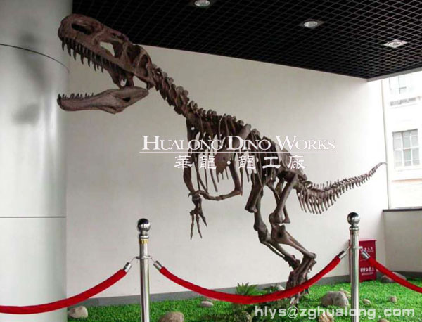 大型恐龙骨架