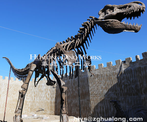 华龙艺术恐龙骨骼化石科普展览