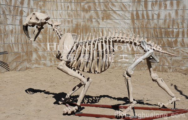 华龙艺术各种仿真远古动物骨架展览