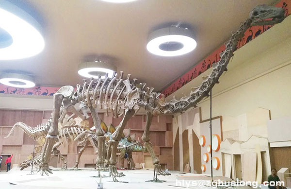 华龙艺术恐龙化石骨架