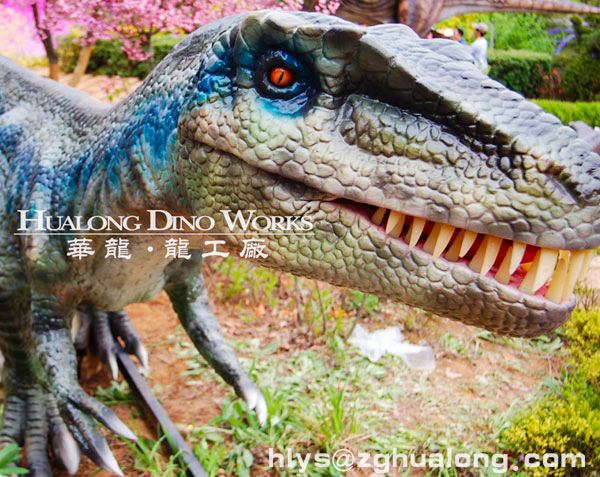 华龙艺术侏罗纪恐龙公园 景区仿真迅猛龙机模3M
