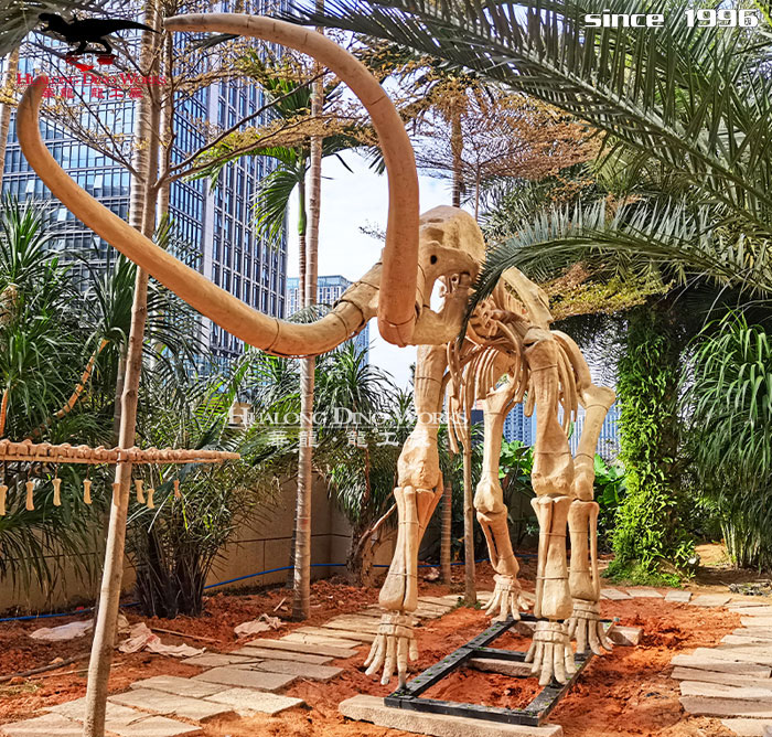 大型仿真恐龙 远古动物化石骨架模型