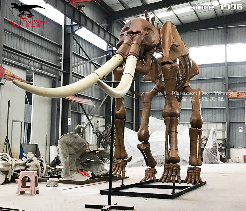 华龙科技  形象逼真的大型剑齿象化石骨架模型