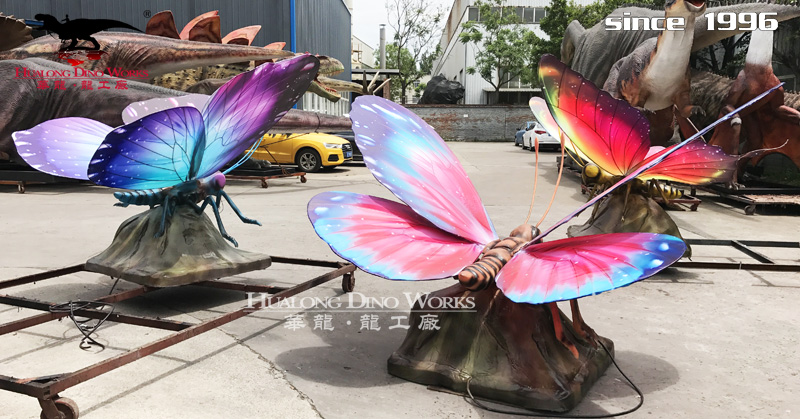 华龙科技 优美的大型蝴蝶标本