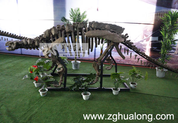 华龙艺术效果逼真仿真甲龙骨架