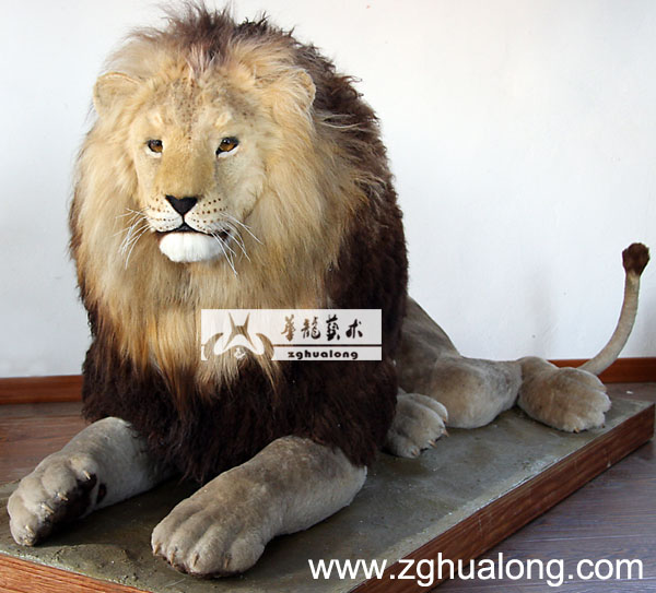 华龙艺术大型逼真仿真狮子模型