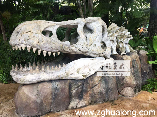 华龙艺术公园霸王龙骨架头装饰