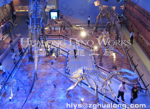 华龙艺术各种大型仿真恐龙骨架模型