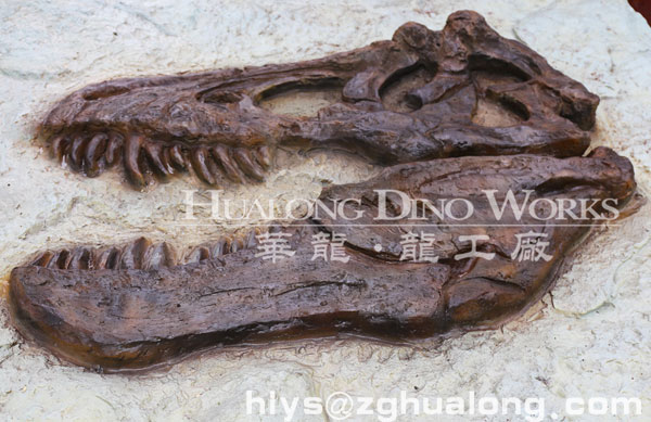 华龙艺术挖掘现场霸王龙头化石模型