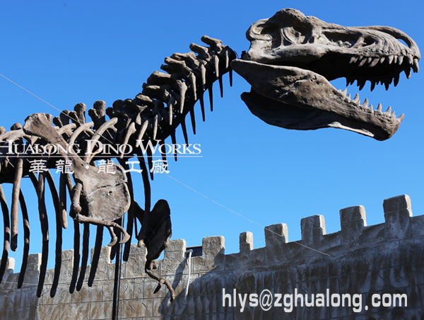 华龙艺术有趣新颖仿真恐龙骨架