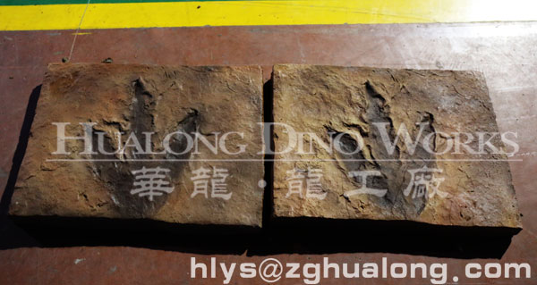 华龙艺术博物馆恐龙脚印化石展览