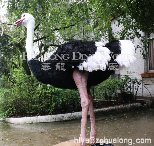 华龙艺术大型仿真鸵鸟模型