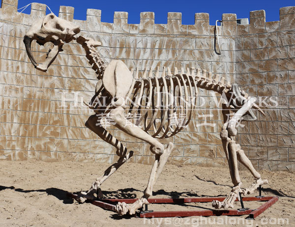 华龙艺术效果逼真的仿真剑齿虎骨架