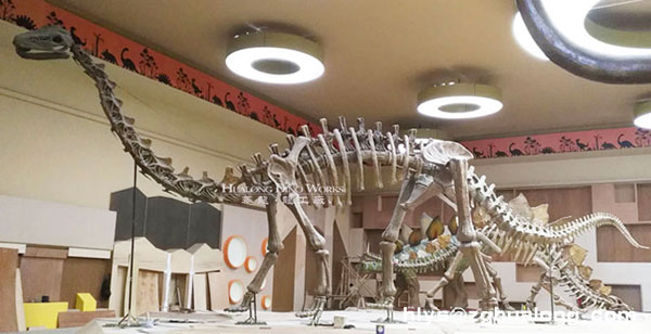 华龙艺术室内大型恐龙骨架
