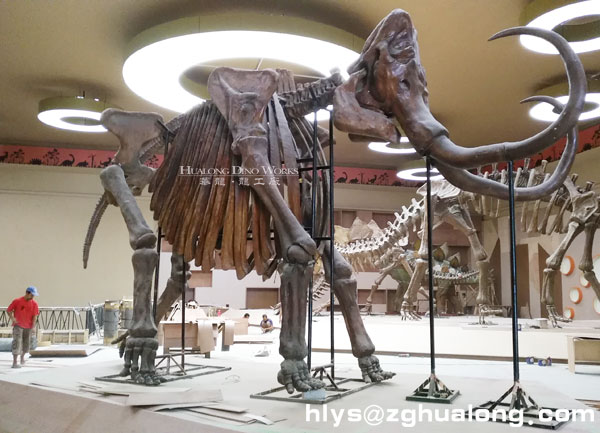 华龙艺术超逼真的仿真猛犸象化石骨架