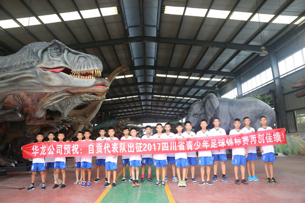 自贡华龙有限公司-四川省足球锦标赛