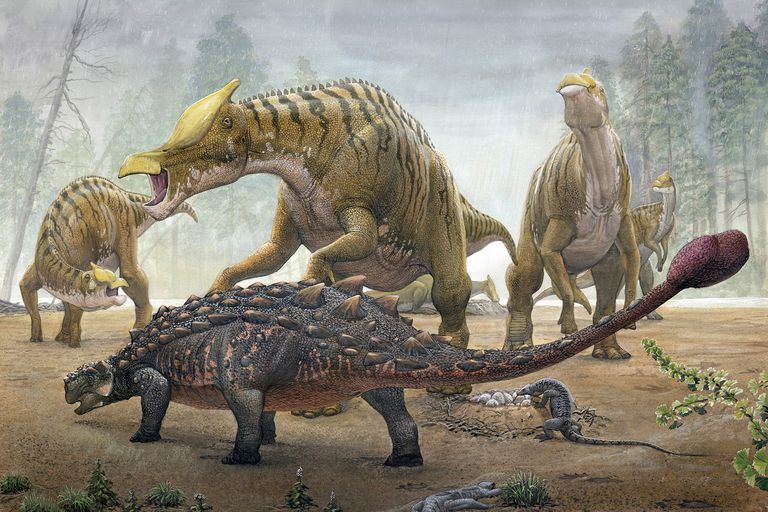 恐龙王国包括两个主要分支