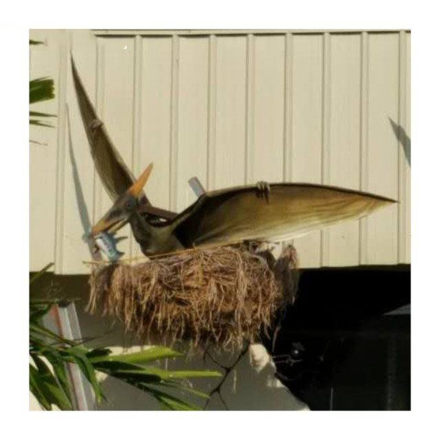 室外仿真恐龙-翼龙