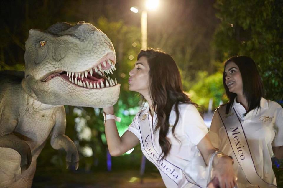 仿真恐龙制造商-恐龙皮套