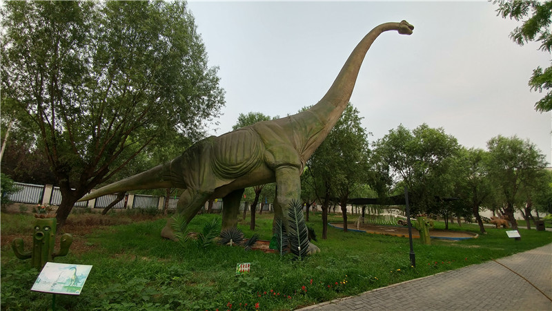 仿真恐龙系列-蜿龙