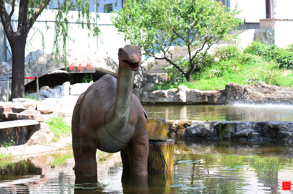 动物园-仿真恐龙