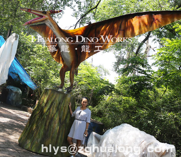 站在树桩上的翼龙