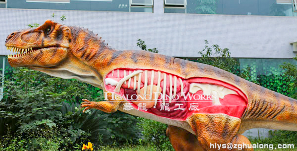 华龙艺术博物馆仿真解剖霸王龙机模8M