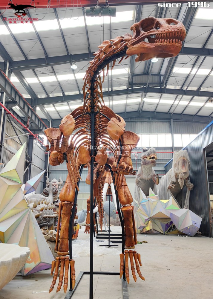 华龙科技  栩栩如生  博物馆高品质仿真恐龙化石展