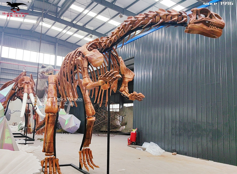 华龙科技  长度7米 仿真恐龙化石模型制作