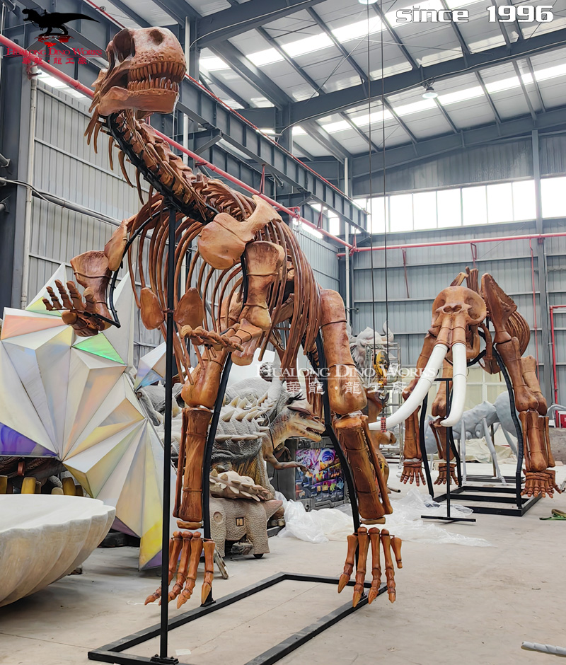 华龙科技  高品质 大型仿真禄丰龙恐龙化石骨架模型制作厂家