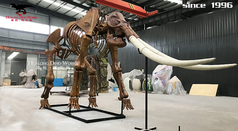 华龙科技 优质的大型史前动物化石骨架装饰摆件