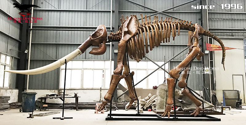 华龙科技  科技馆史前动物化石骨架展览