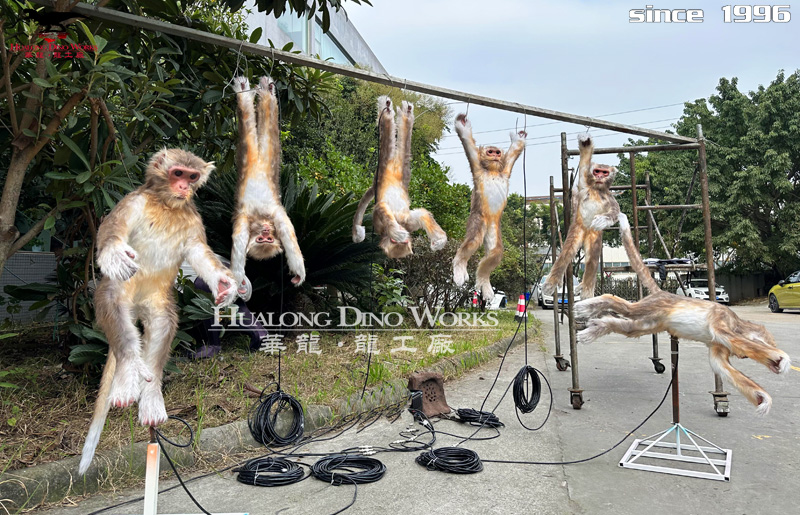 华龙科技贴毛的1;1仿真猴子模型制作